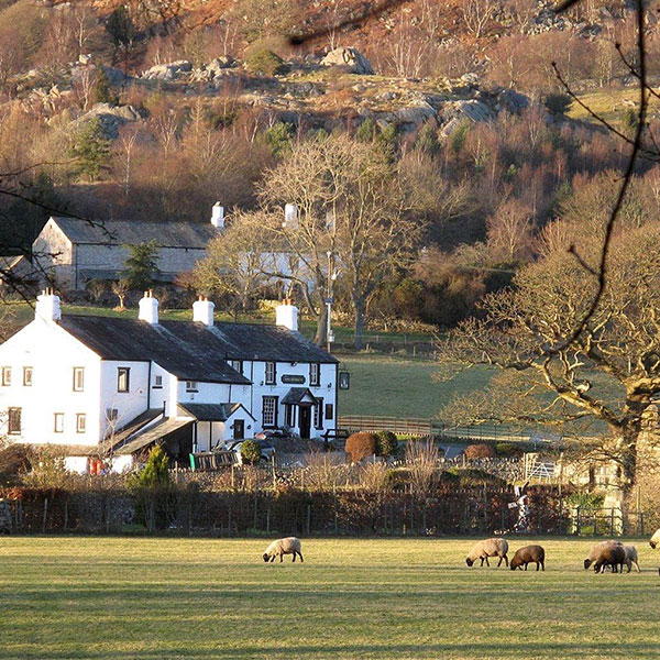 eating out lake district